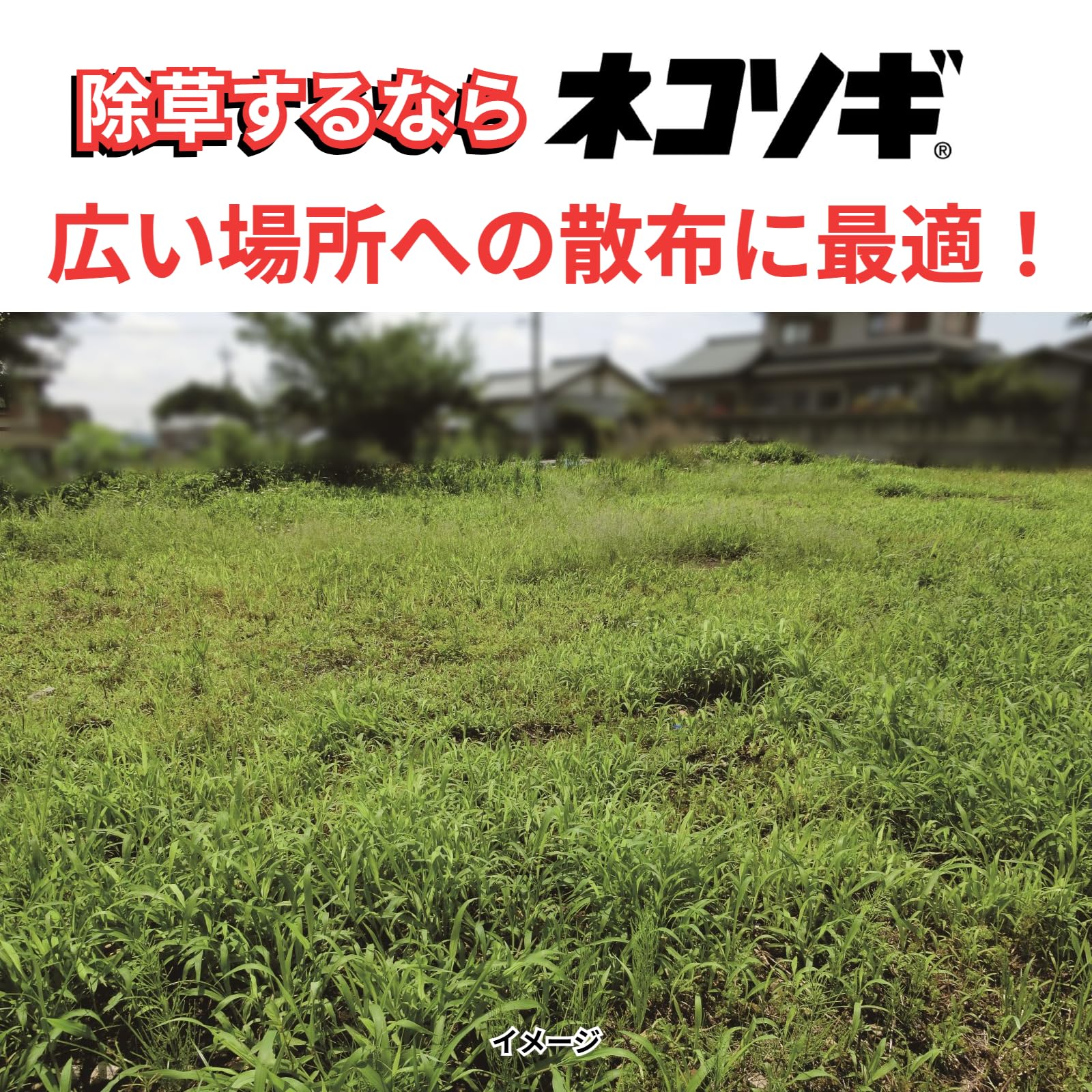 【2個セット】レインボー薬品 ネコソギトップRX粒剤 5kg袋 Amazon.co.jp: レインボー薬品 ネコソギトップRX粒剤 5kg袋 : ペット用品